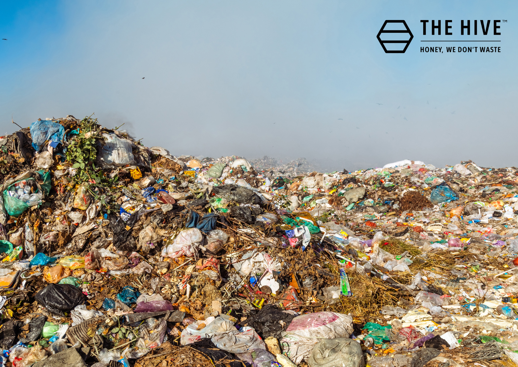 What happens to your trash after you throw it away?