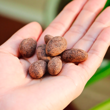 Load image into Gallery viewer, COCOVA Wacky Almonds 68% Dark Chocolate Coated Almonds