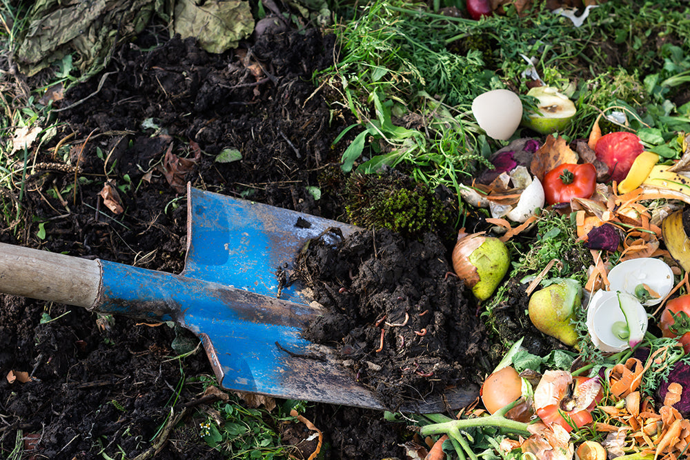What you can (and can’t) compost at home