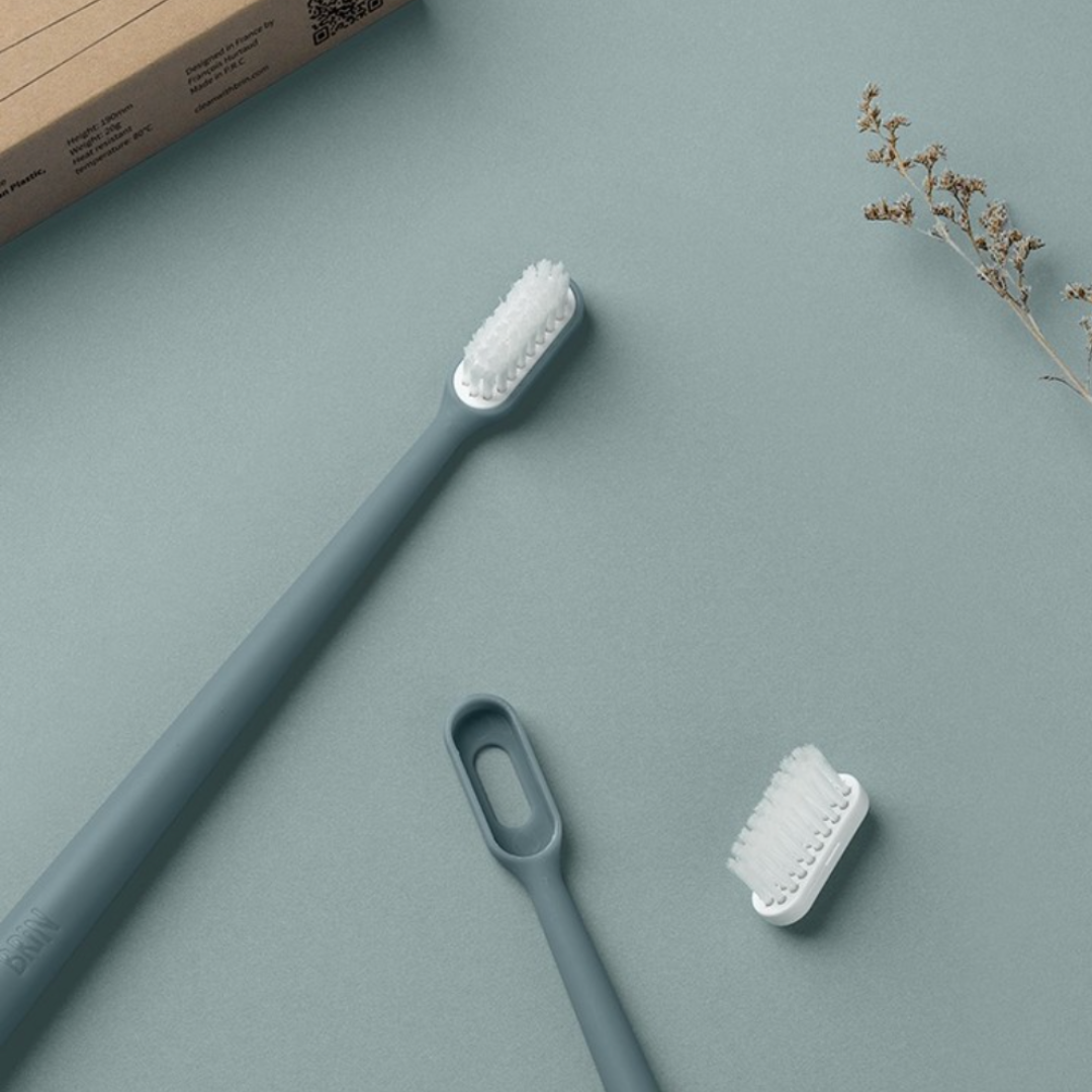 BRiN SeaDifferently Reusable Toothbrush – Thehiveecostore