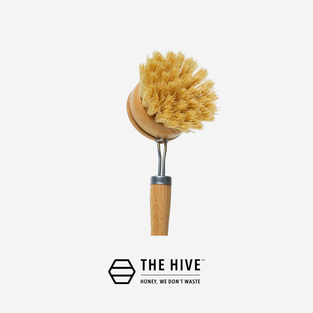 https://thehiveecostore.com/cdn/shop/products/brush_dishwashing_1080x.png?v=1645695995